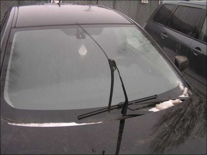 Собаки погрызли автомобиль