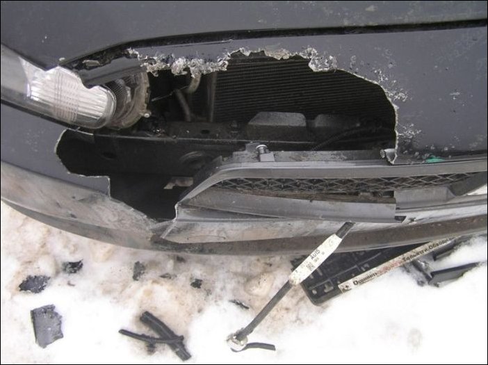 Собаки погрызли автомобиль