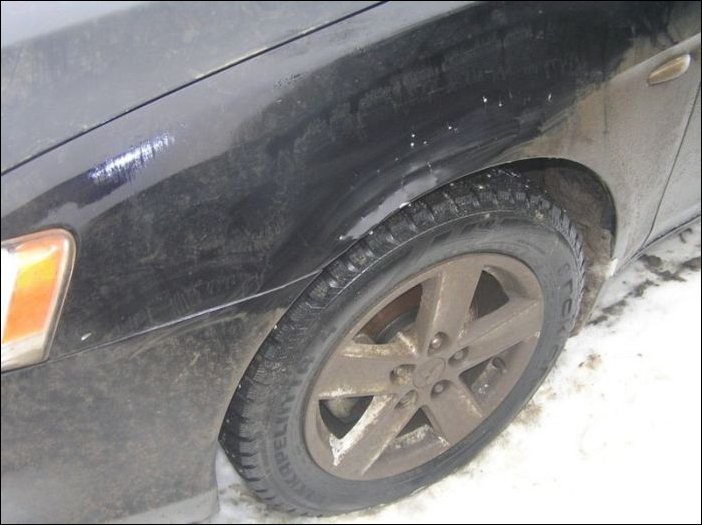 Собаки погрызли автомобиль