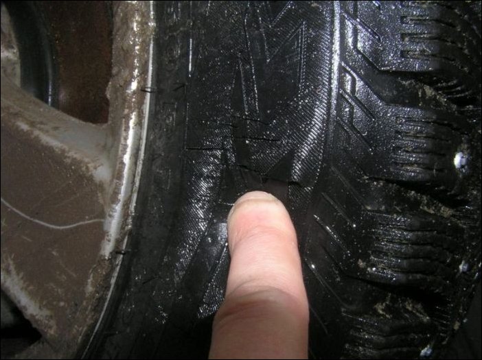 Собаки погрызли автомобиль