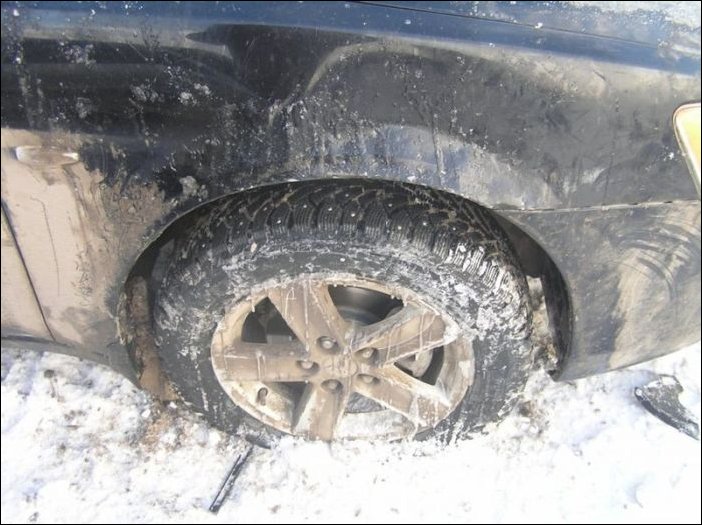 Собаки погрызли автомобиль