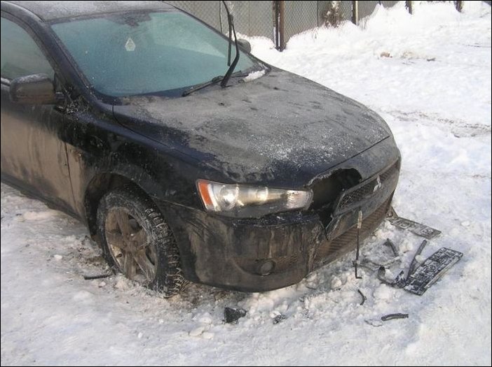Собаки погрызли автомобиль