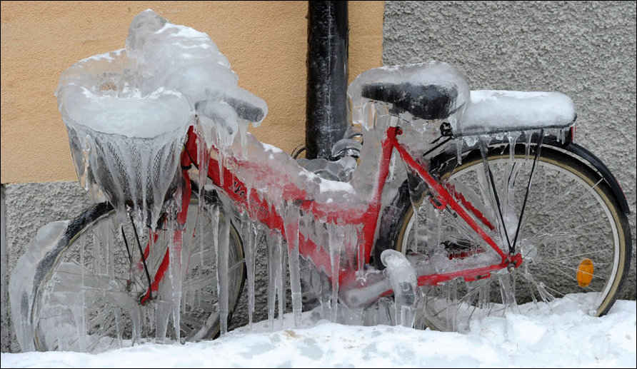 Подборка фотографий