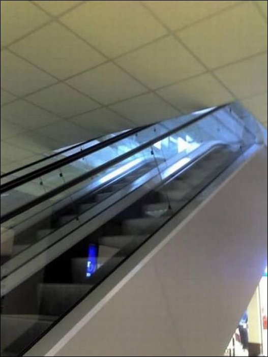 Подборка фотографий