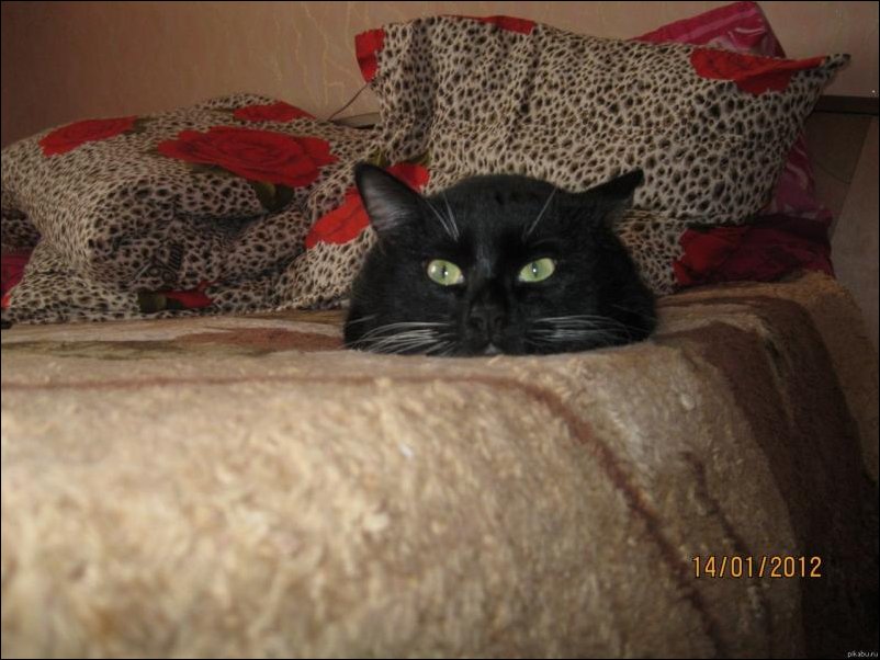 Подборка фотографий