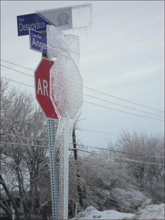 Подборка фотографий