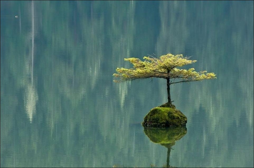 Подборка фотографий