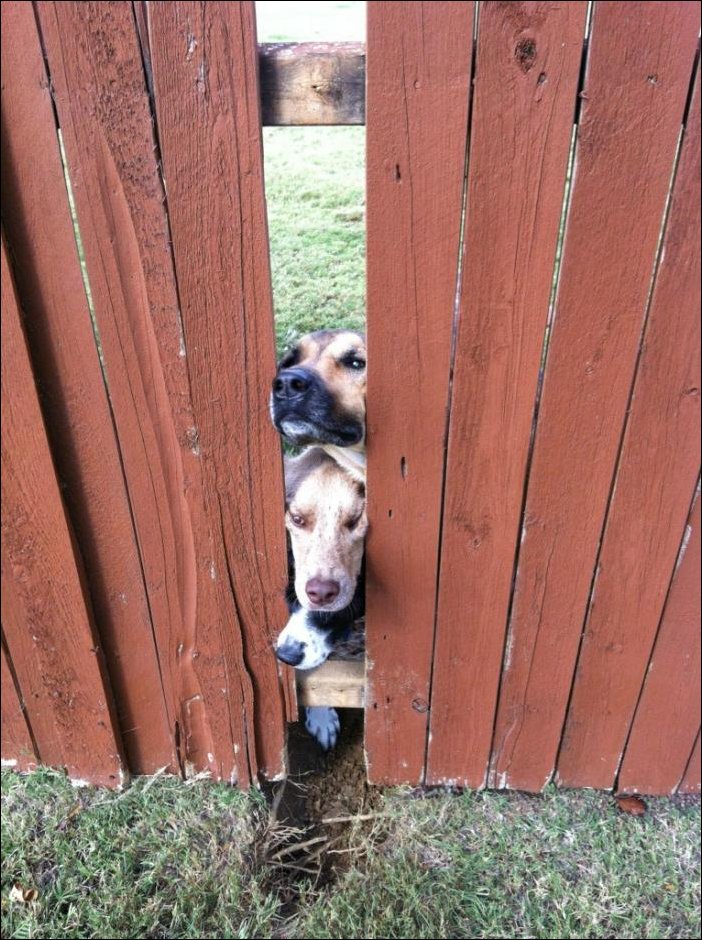 Подборка фотографий