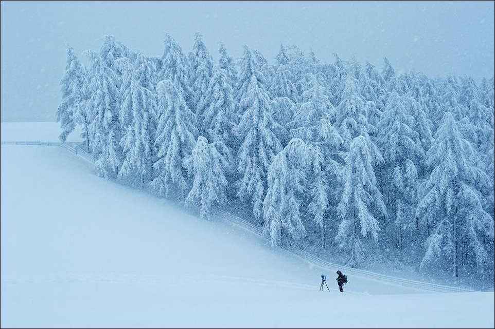 Подборка фотографий