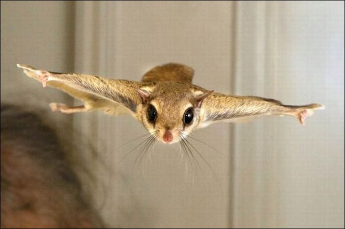 Подборка фотографий