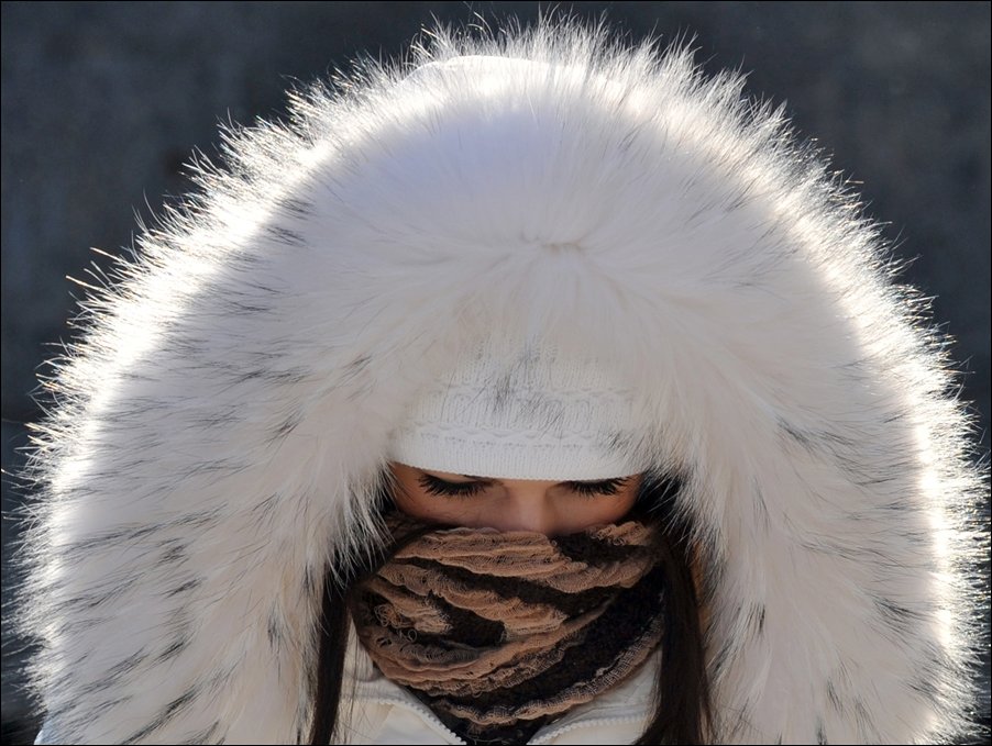 Подборка фотографий