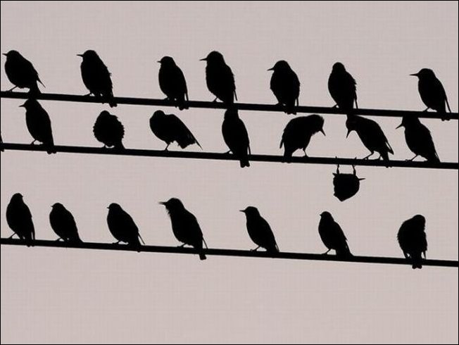 Подборка фотографий