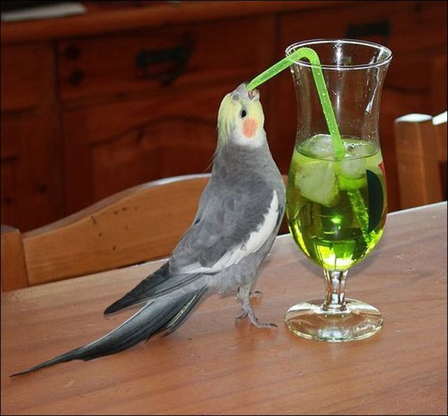 Подборка фотографий