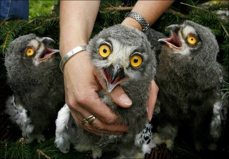 Подборка фотографий