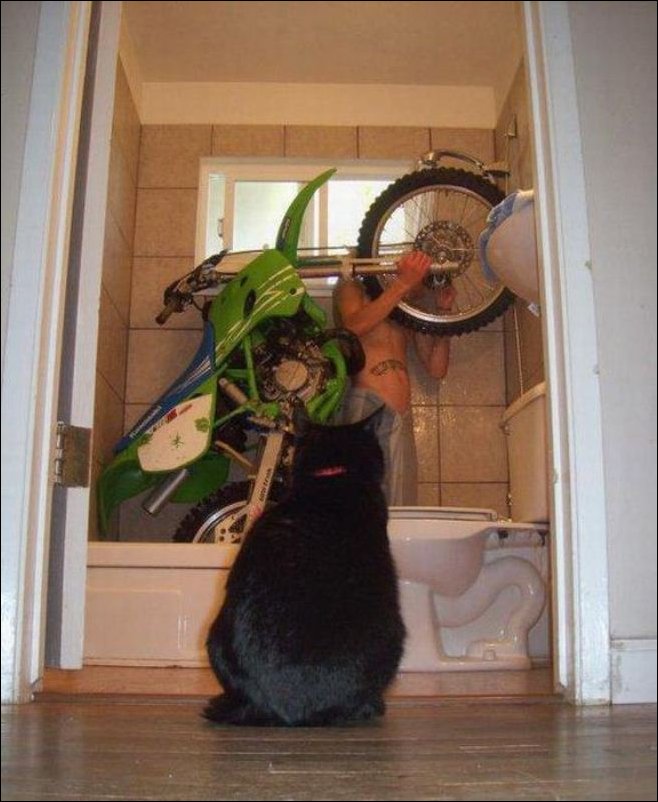 Подборка фотографий