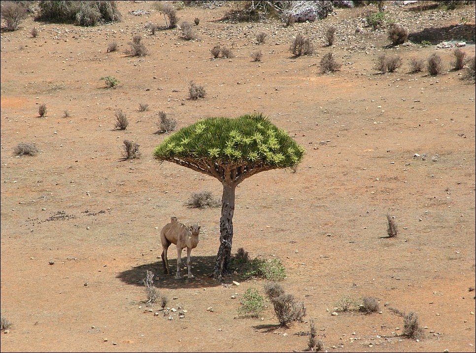 Подборка фотографий