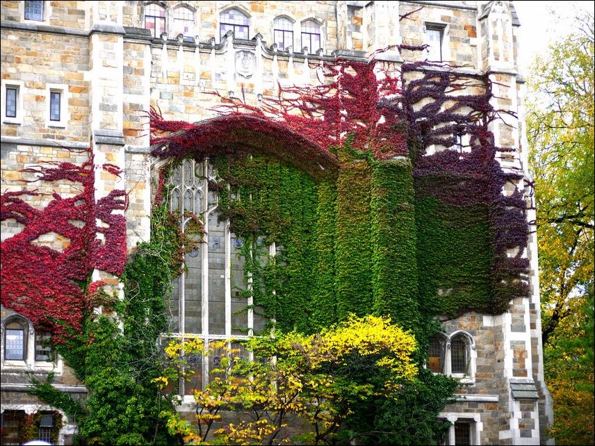 Подборка фотографий