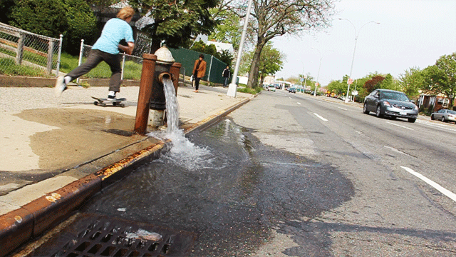 Подборка фотографий