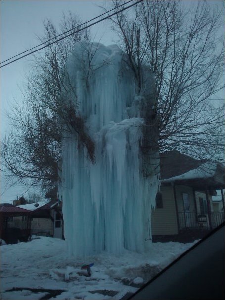 Дерево во льду