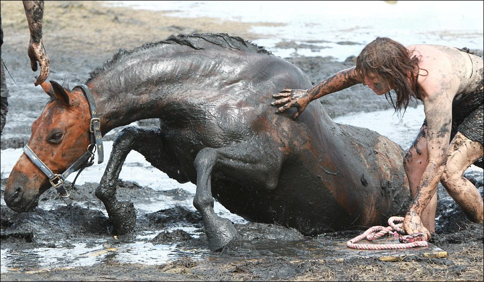 Лошадь застряла в грязи