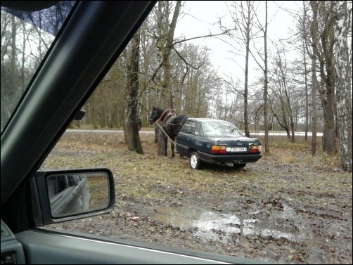Лошадка и пол-автомобиля