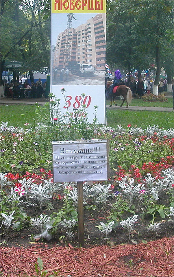 Прикольные надписи и объявления