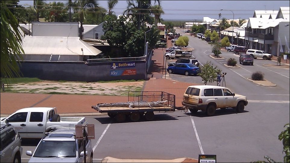 Подборка фотографий