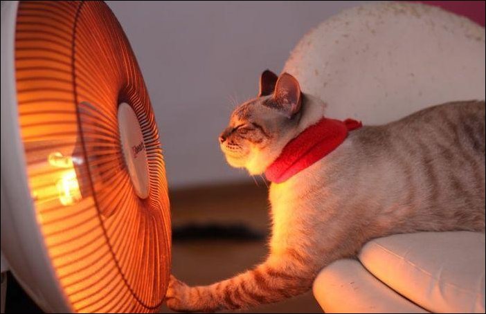 Подборка фотографий