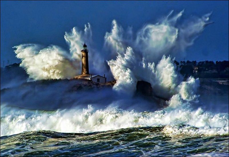 Подборка фотографий