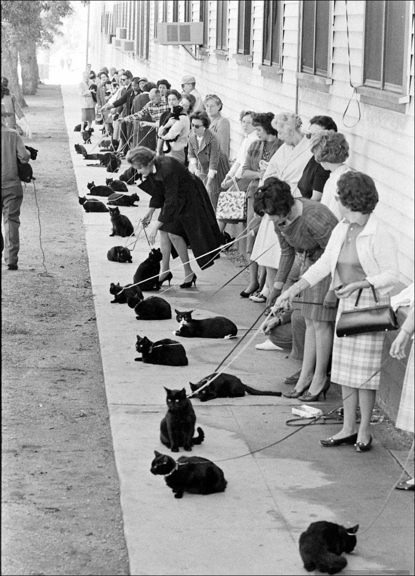 Подборка фотографий