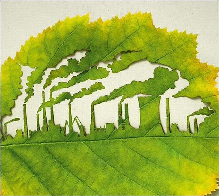 Подборка фотографий