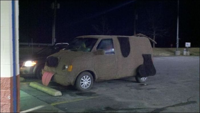 Подборка фотографий