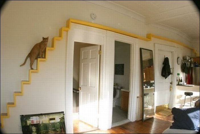 Подборка фотографий