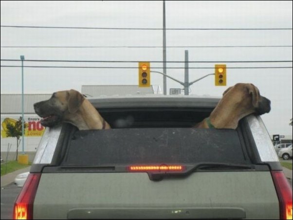 Подборка фотографий