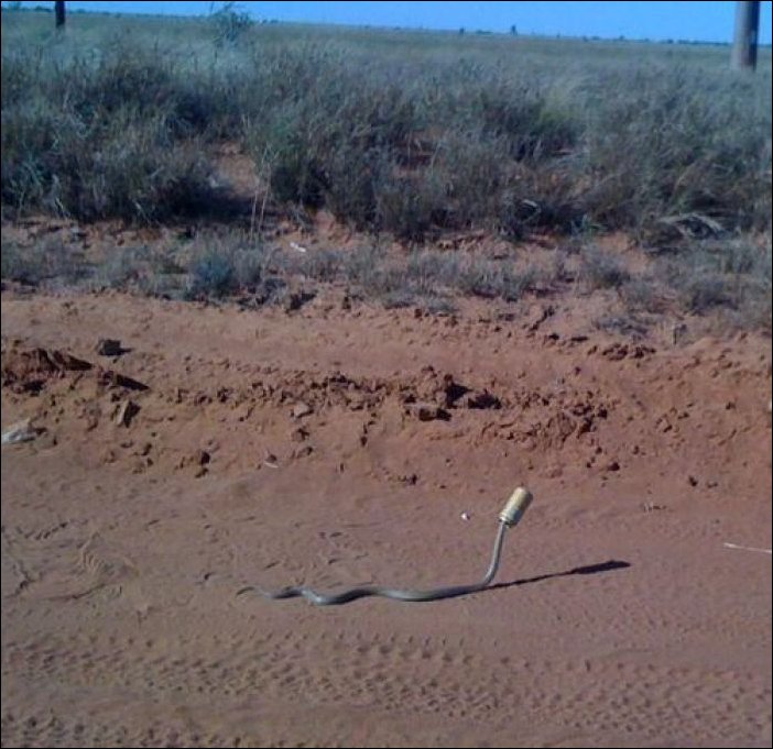 Подборка фотографий