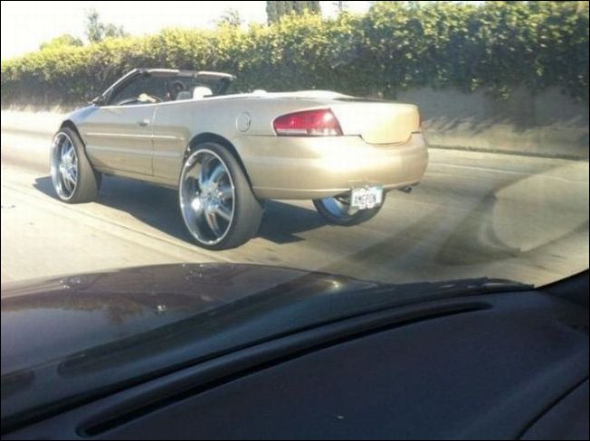 Подборка фотографий