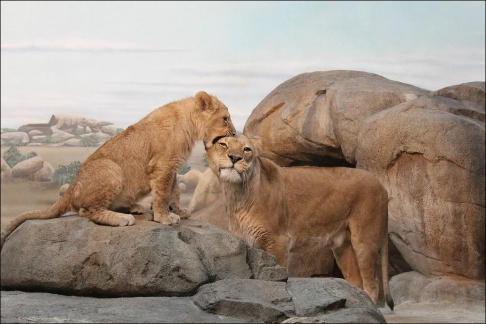 Подборка фотографий