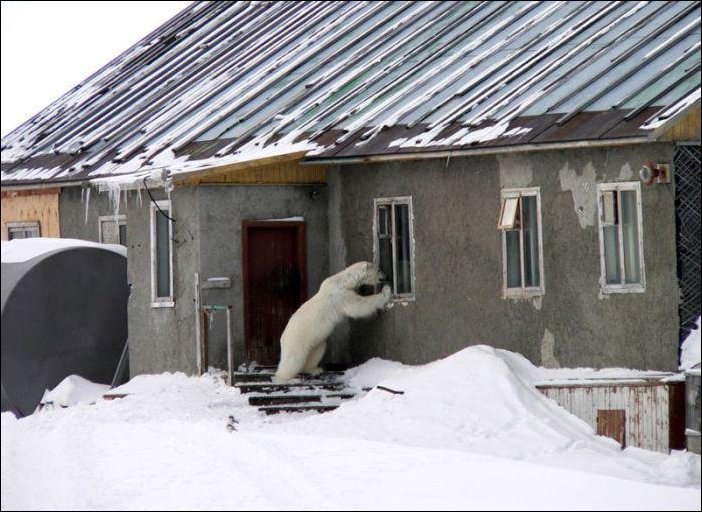 Подборка фотографий
