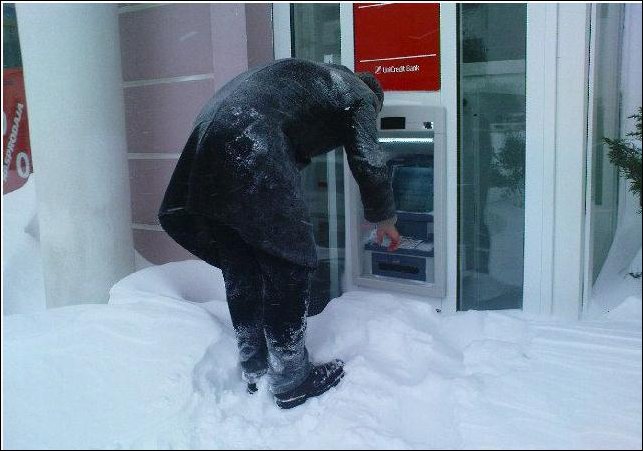 Подборка фотографий