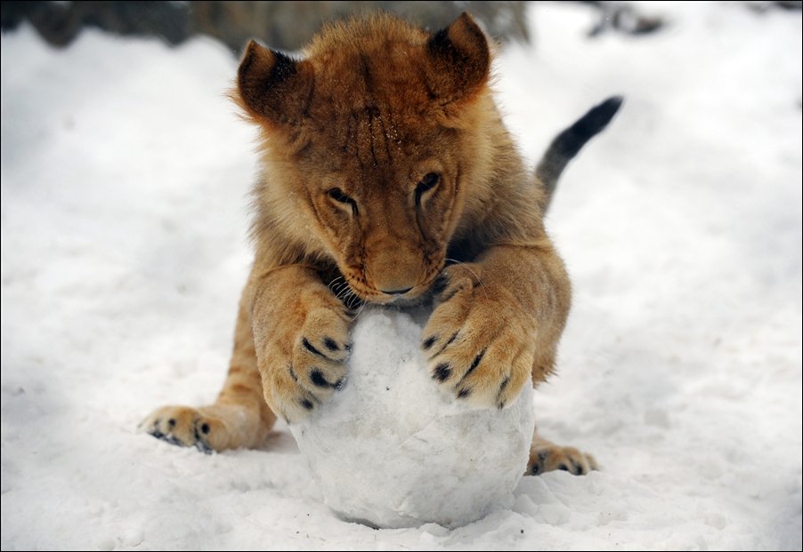 Подборка фотографий