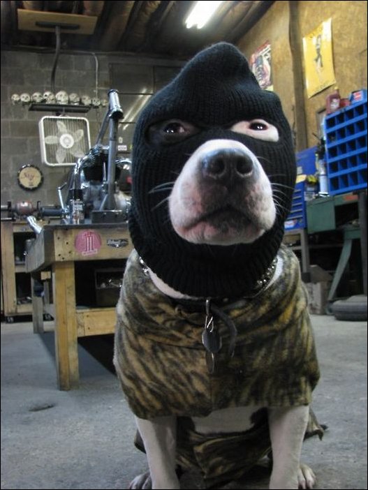 Подборка фотографий