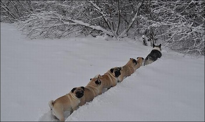 Подборка фотографий