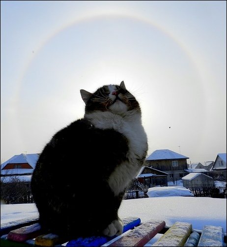 Подборка фотографий