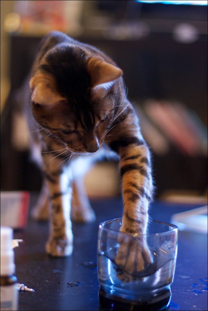 Подборка фотографий