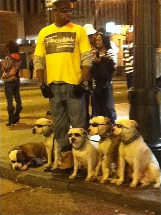 Подборка фотографий