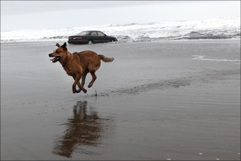 Женщина на Лексусе заехала в океан