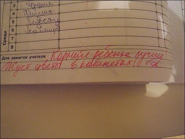 Записи в школьных дневниках