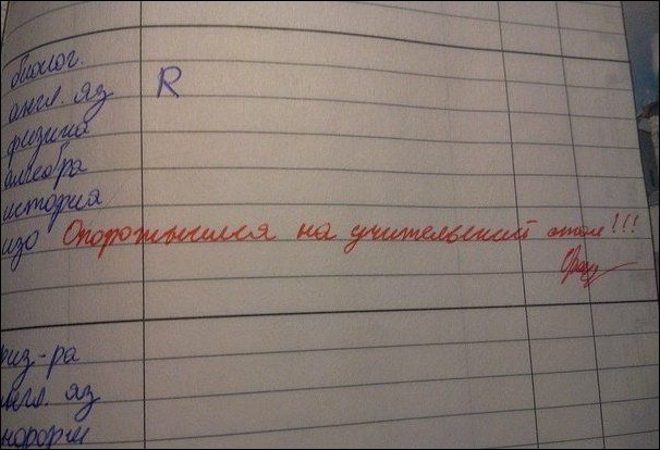 Записи в школьных дневниках