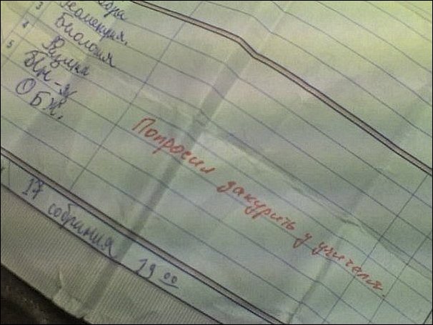 Записи в школьных дневниках