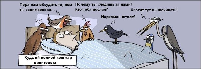 Комиксы и карикатуры